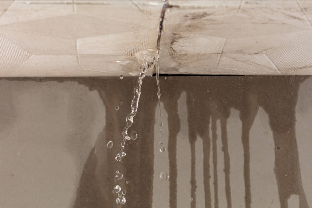 Professional Flood Damage Cleanup technician working in Painesville, OH